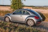 Volkswagen Beetle 1.2 TSI Fender Edition Fender Edition - Volkswagen Beetle: Fender Edition