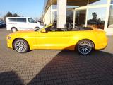 Ford Mustang Convertible 290PS Navi ACC Kamera - Ford Mustang: Cabrio