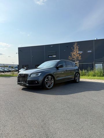AUDI Audi SQ5 8R Bi TDI COMPETITION Standhzg..