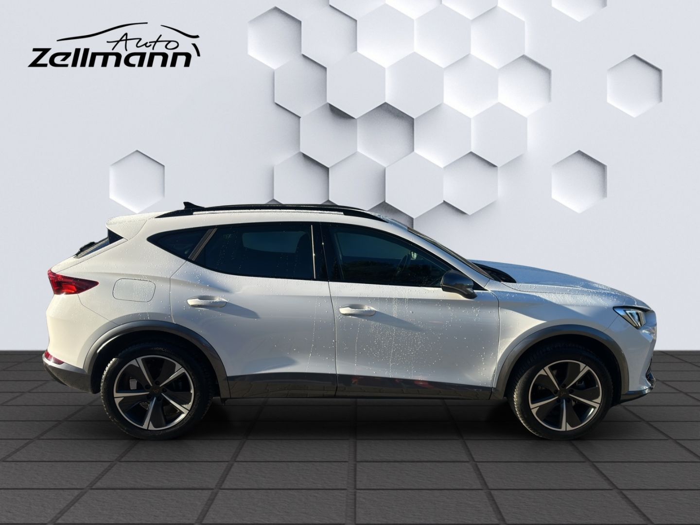 Formentor Basis 1.5TSI 110kW 6-Gang AHZV,LED, GJ