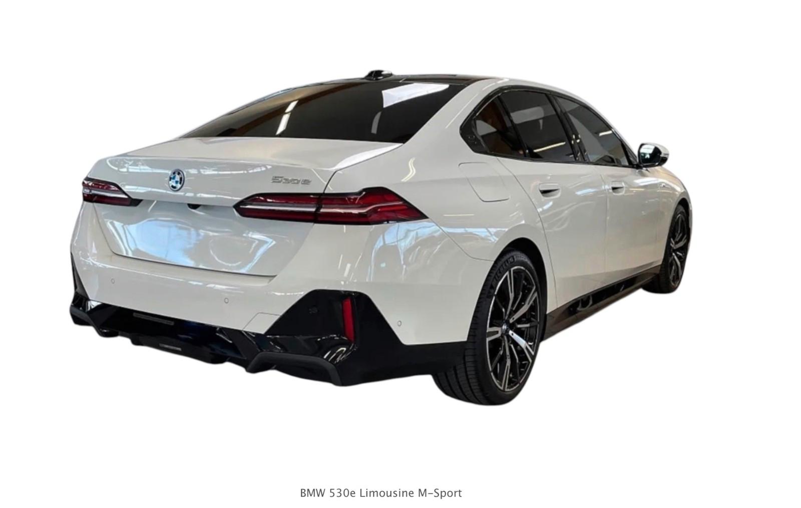 BMW 530e M Sport / PANO / AHK / HK / BRAUN LEDER