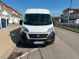 Fiat Ducato Maxi 2.3 150 L5H2 "TOP ZUSTAND" - Fiat Ducato: L5