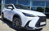 Lexus NX 450h+ Executive Interieur & Technologie-Paket - Lexus: Nx
