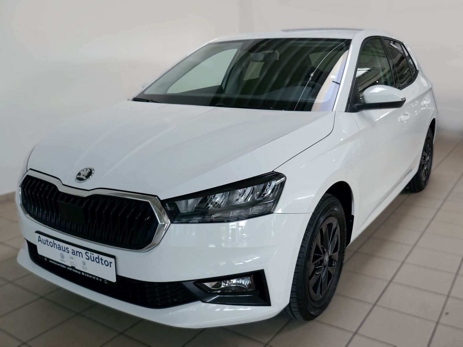Fahrzeugabbildung SKODA Fabia Selection 1.0 TSI DSG | LED RFK GRA App