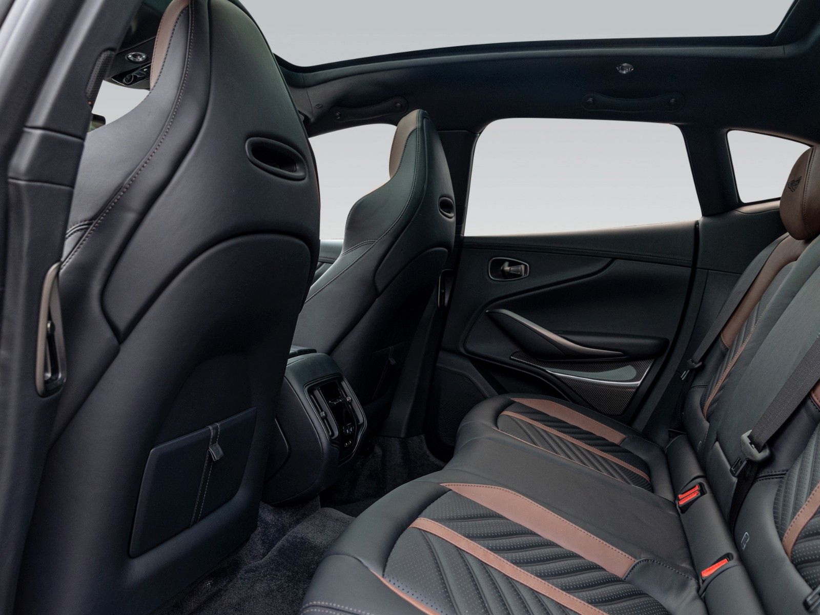 Aston Martin DBX707 | Carbon Trim | Privacy Glass foto 15