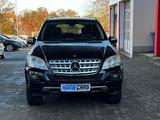 Mercedes-Benz ML 420 CDI 4 MATIC  I Diesel I 8 Zylinder - Mercedes-Benz ML 420: Cdi 4matic
