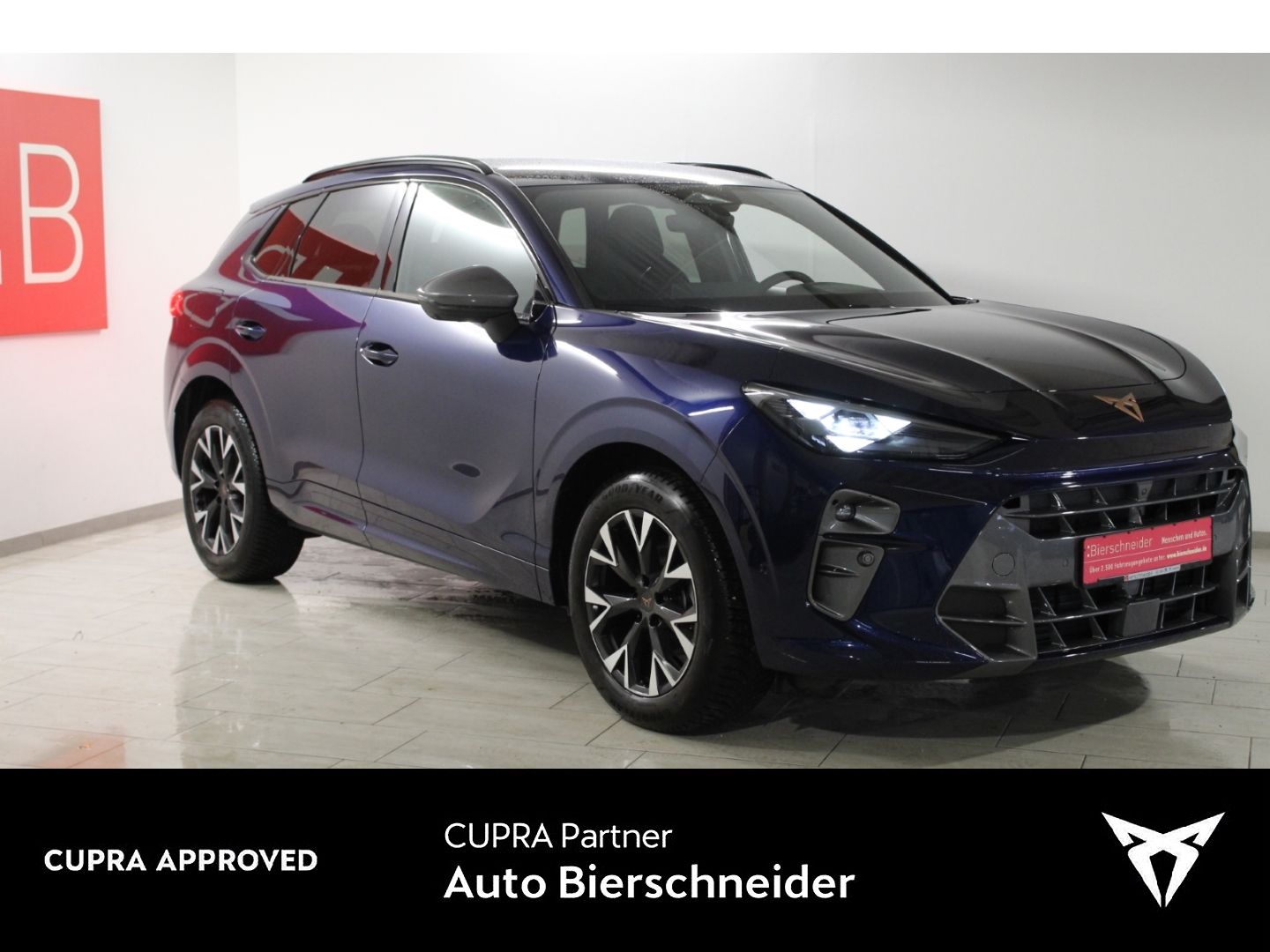 Cupra Terramar 1.5 eTSI DSG 18 NAVI KAMERA 5J.-Garnati