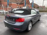 BMW 220 2 Cabrio 220 d Advantage - BMW 220 in Köln