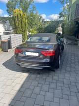 Audi S5 3.0 TFSI S tronic quattro Cabriolet - - Audi S5: Cabrio