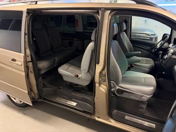 Mercedes Viano - 10