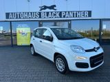 Fiat Panda Easy Modell 2020 Klima 1Hand Scheckh.kompl - Fiat Panda in Mönchengladbach