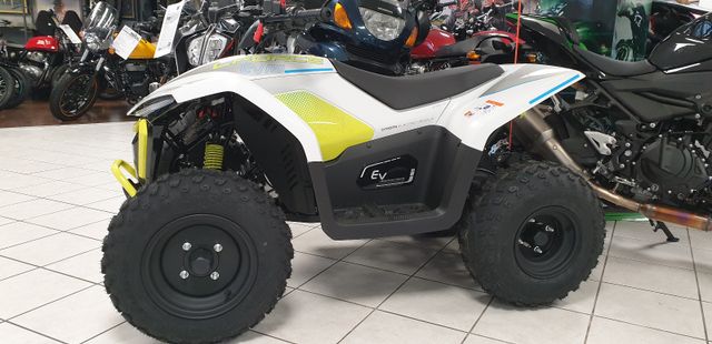 CFMOTO CFORCE EV110