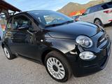 Fiat 500 1.0Ltr-51kW Cabrio - scheckheftgepflegte Fiat 500