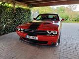 Dodge Challenger Scatpack SRT 6,4L V8 - Dodge Challenger: V6