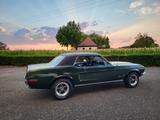 Ford Mustang Hardtop, 289ci V8, Orig. Highland Green! - Ford Mustang: Or
