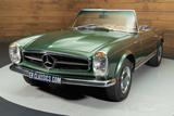 Mercedes-Benz SL 230 Cabrio | 1967 - mit Benzin-Antrieb: Grün, Vollleder
