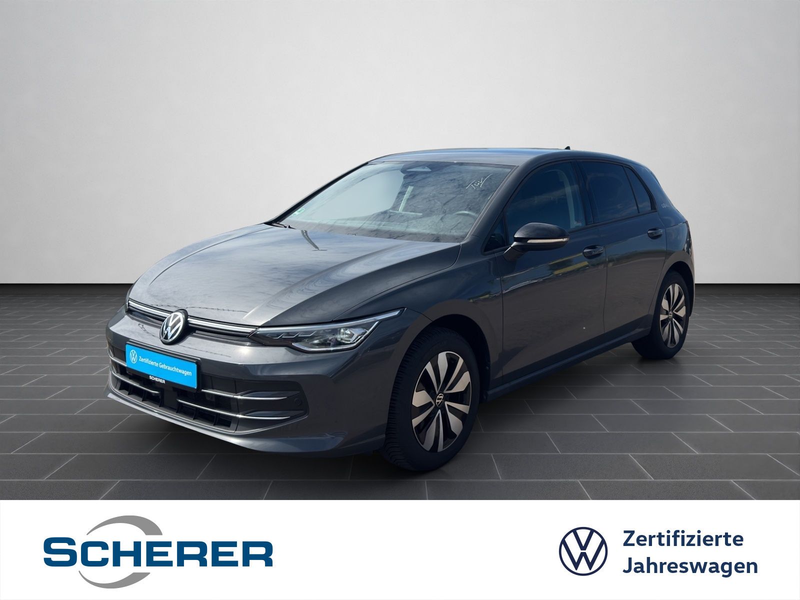 Volkswagen Golf VIII GOAL 1.5 eTSI DSG LED PLUS NAVI AHK RE