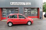 Fiat Panda 1.2 8V Dynamic Klima Tüv+Au Neu - gebrauchte Fiat Panda aus dem Jahr 2007