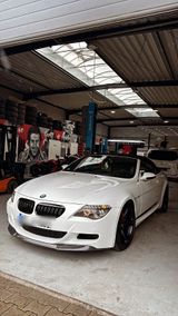 BMW M6 V10 Cabrio - BMW M6 aus 2008
