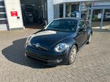 Volkswagen VW Käfer / Beetle 1.2 TSI - Volkswagen: Sportwagen, Kaefer