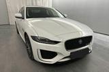 Jaguar XE P250 R-Dynamic SE*Panorama*Winter-Paket* - weiße Jaguar XE