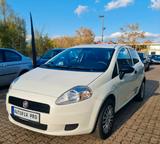 Fiat Punto 1.2 8V POP*Klima/TUV 11-27/INSP. Neu - Fiat Punto: 1.2