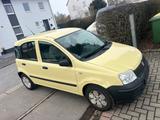 Fiat New Panda 1.1 8V Active,127.000KM,2-Hand,Euro 4 - Fiat New Panda: Limousine
