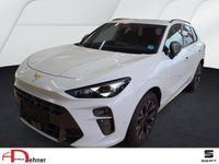 Cupra Terramar - Vorschau Bild 1