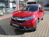 Honda CR-V 1.5 VTEC Turbo 4WD Executive - Honda CR-V Gebrauchtwagen in Stuttgart