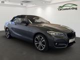 BMW 230iCabrio*Sport Line*LED*Navi*HiFi*Tempo.*PDC* - BMW 230: I