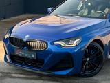 BMW 220i G42 M Sport Pro Shadow Leder DrAss H&K Cam - BMW 220: I