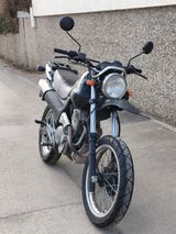 Honda SLR650 - Offers matching your search criteria