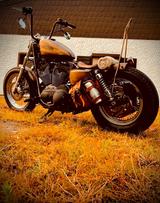 Harley-Davidson XL2 - die etwas andere Sportster - Offers