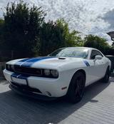 Dodge Challenger R/T 5.7 V8 - weiße Dodge Challenger