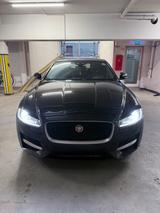 Jaguar XF 20d AWD 180PS R-Sport Automatik R-Sport - gebrauchte Jaguar XF aus dem Jahr 2017