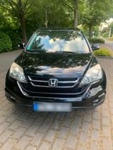 Honda CRV Automatik - Honda Civic in Mainz