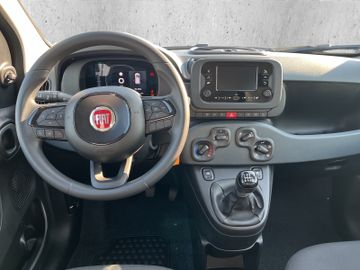 Fiat Panda 1.0 Mild Hybrid MY24 PDC TEMPOMAT SPURHALT