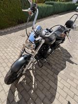 Harley-Davidson Sportster Custom 1200 - HARLEY-DAVIDSON 1200 CUSTOM