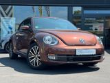 Volkswagen Beetle Cabriolet Allstar BMT - Volkswagen Beetle in Köln