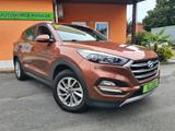 Hyundai Tucson 1.6T-GDi 177PS 6G Advantage 4WD +NAVI/AHK - Hyundai Gebrauchtwagen in Dresden