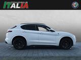 Alfa Romeo Stelvio Quadrifoglio V6 2.9 Bi-Turbo AT8-Q4 - Alfa Romeo Stelvio Quadrifoglio mit Benzin-Antrieb