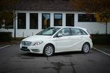 Mercedes-Benz B 180 CDI ,109 PS ,86.000 ,HU/AU 27 ,Bi-Xenon - Mercedes-Benz B 180 in Osnabrück