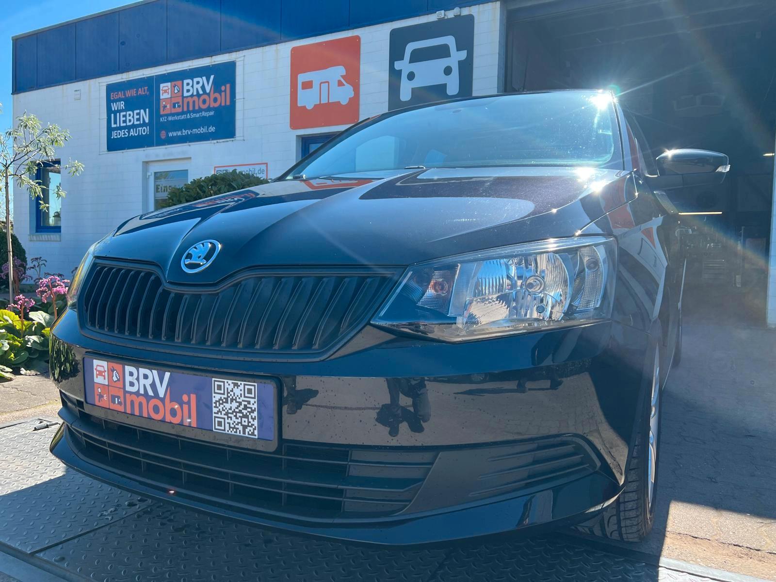 Skoda Fabia Cool Edition/Klima/SHZ/PDC/Radio DAB/BT