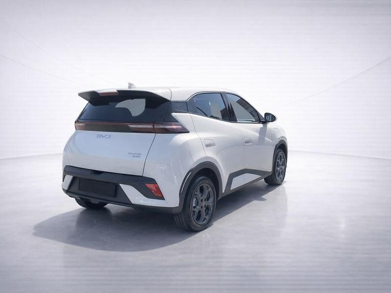 BYD DOLPHIN SURF