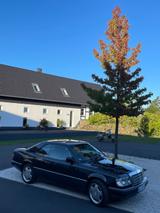 Mercedes-Benz 300CE restauriert! Leder Klima Autom SSD SHZ AMG - Mercedes-Benz CE 300 Gebrauchtwagen