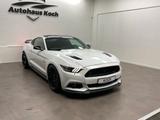 Ford MUSTANG GT 5.0 V8! SHELBY! TRAUMHAFT! - Ford Mustang in Mainz