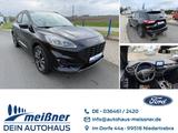 Ford Kuga Plug-In Hybrid ST-Line X VOLL LED, NAVI, BL - Ford Kuga: Limousine
