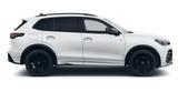 Volkswagen Tiguan R-Line 2,0 l TSI OPF 4MOTION 150 kW (204 - Volkswagen: Standheizung