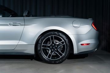 Ford Mustang - 12