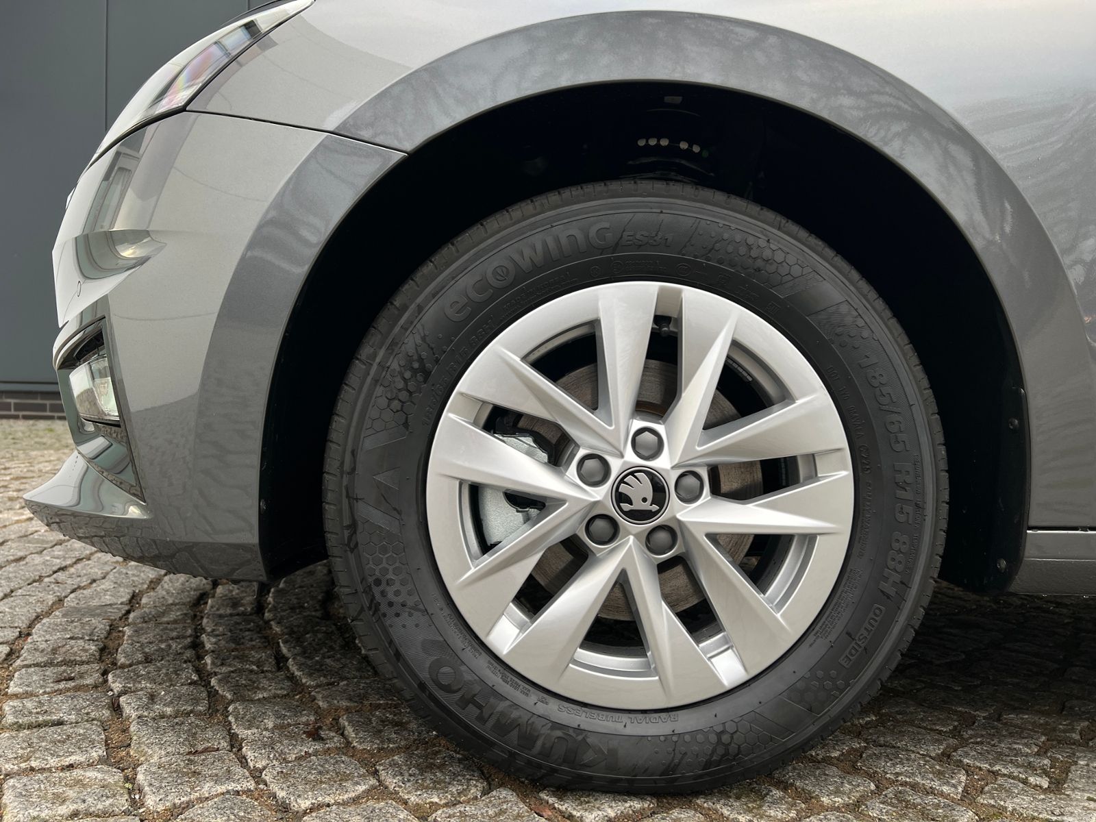 Fahrzeugabbildung SKODA Fabia Selection Edition 130 1.0 TSI DSG *Garanti